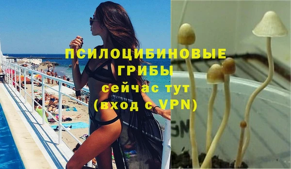 мескалин Богородицк