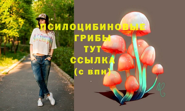 мескалин Богородицк