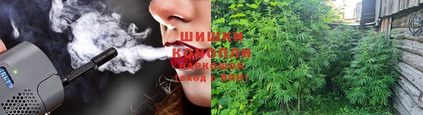 PSILOCYBIN Богданович