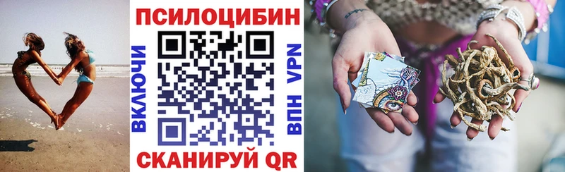 Галлюциногенные грибы Psilocybine cubensis  omg   Дагестанские Огни 