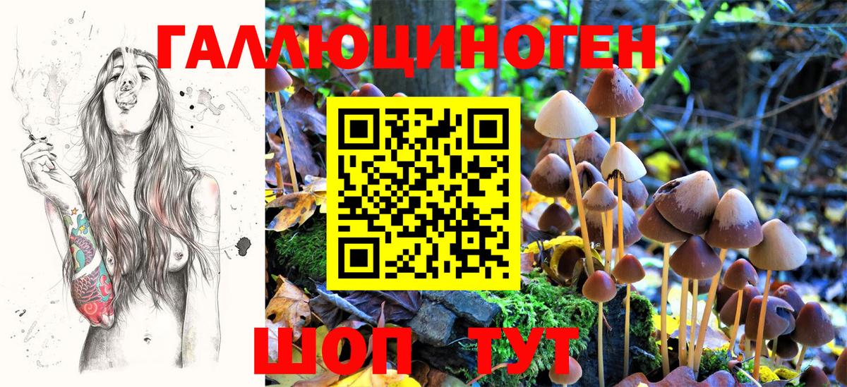 Галлюциногенные грибы мицелий Дагестанские Огни