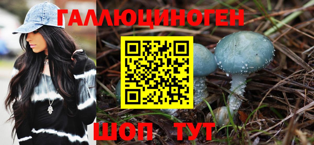 Галлюциногенные грибы Cubensis  Вход с VPN  Дагестанские Огни  Псилоцибиновые грибы Psilocybe 